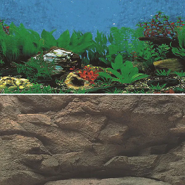 Αφίσα Ενυδρείου 40cm 1m