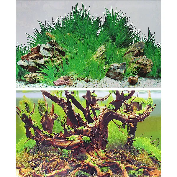 Αφίσα Ενυδρείου 50cm 1m
