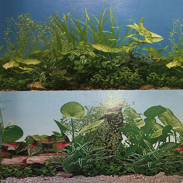 Αφίσα Ενυδρείου 40cm 1m