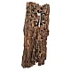 Mangrowe Pookaholes 35-45cm