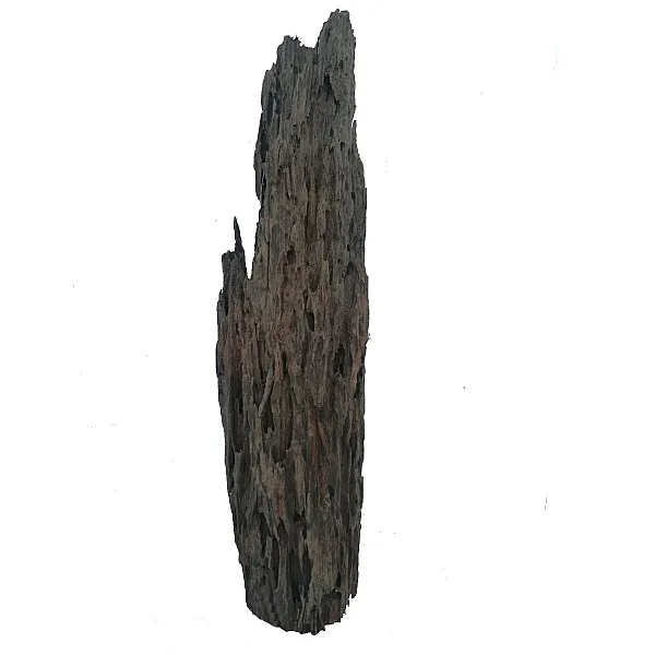 Mangrowe Pookaholes 45-55cm