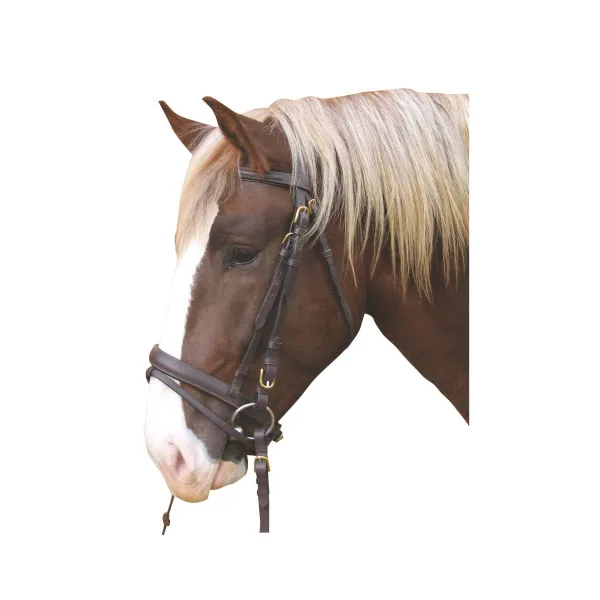 KERBL Χαλινάρι Carthorse Χρώμα Καφέ ΧΩΡΙΣ  ΣΤΟΜΙΔΑ