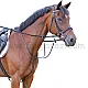 KERBL Δερμάτινη Martingale Χρώμα Μαύρο