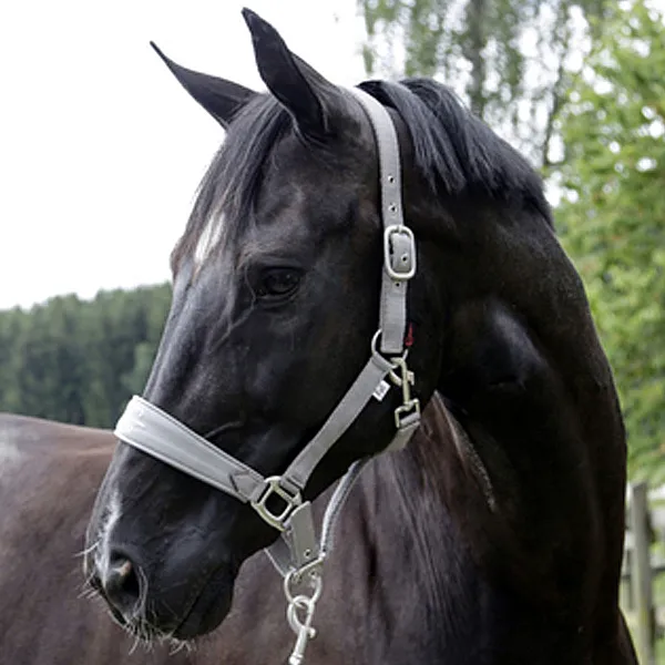 Horse Halter Collection S/S19  grey 3