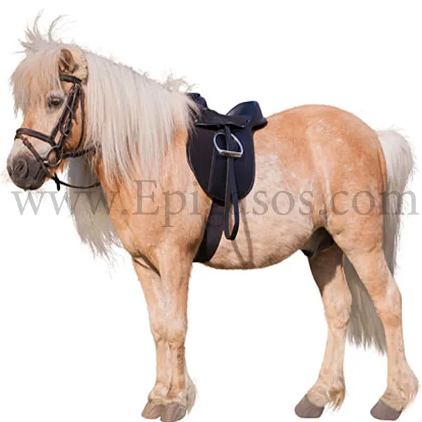 KERBL Οικονομικό# Σετ Σέλα Pony 15,0 "