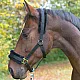 KERBL Καπίστρι Αλόγου Rainbow με Άσπρη / Μαύρη Γούνα  Νο1 Pony