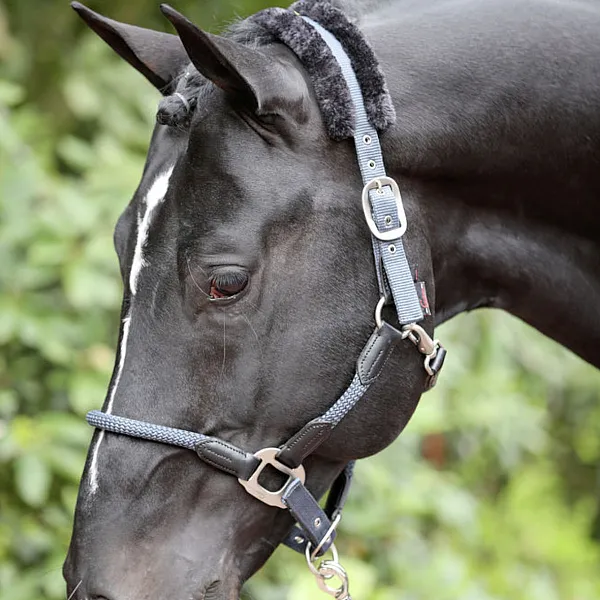KERBL Καπίστρι Αλόγου Cordano smoked blue Pony