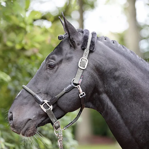 KERBL Καπίστρι Αλόγου Cordano oliv Pony