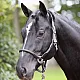KERBL Καπίστρι Αλόγου Cordano oliv Pony