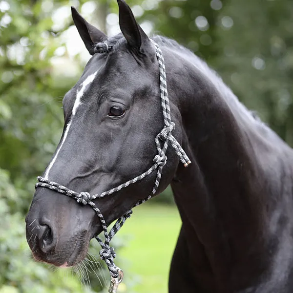 KERBL Καπίστρι απο Σχοινί Pony Μαύρο/Γκρι