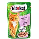 KiteKat Pouch Σολωμό 100gr