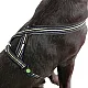 KERBL Επιστήθιο Xenos 40 - 60 cm  20 mm black / neon yellow