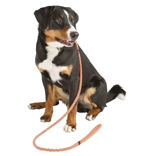 KERBL Slip leash Maxi Safe 170cm x 12mm, neon orange