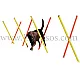 Εκπαίδευση / Γυμναστική Σκύλου Slalom Agility Ύψος 100εκ.