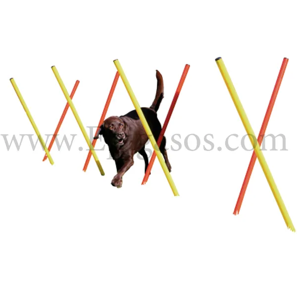 Εκπαίδευση / Γυμναστική Σκύλου Slalom Agility Ύψος 100εκ.