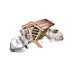 Hayrack Nature ΜxΠxΥ 45 x 32 x 33 εκ.