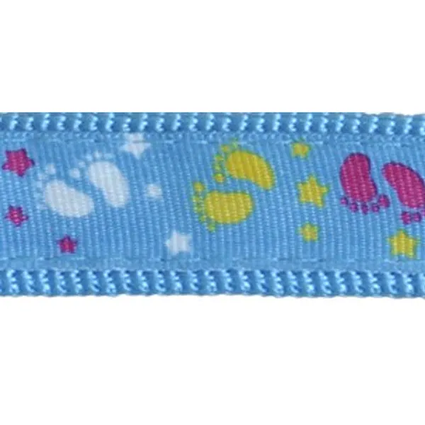Σετ Κολάρο 23-34cm και οδηγός Σκύλου120cm 2cm Μπλέ με Πατούσες