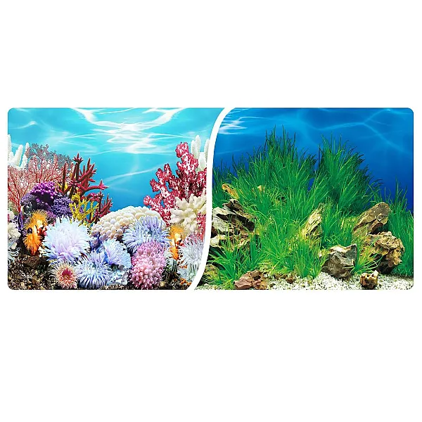 Αφίσα Ενυδρείου 2 όψεων 30cm