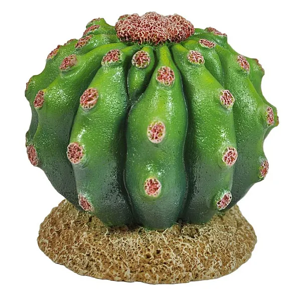 Διακοσμητικό Terrarium Κάκτος 10cm