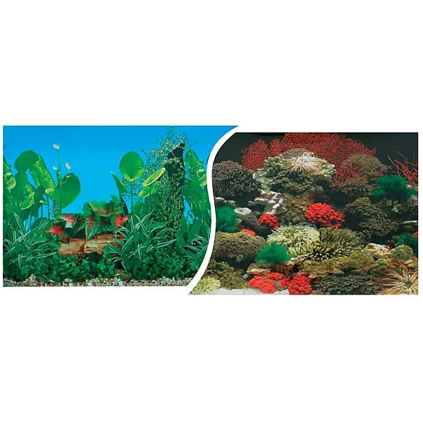 Αφίσα Ενυδρείου 2 όψεων Υ60 cm Μ1m